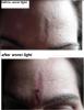 post-153821-1314896725_thumb.jpg