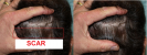 post-138764-1289302998_thumb.png