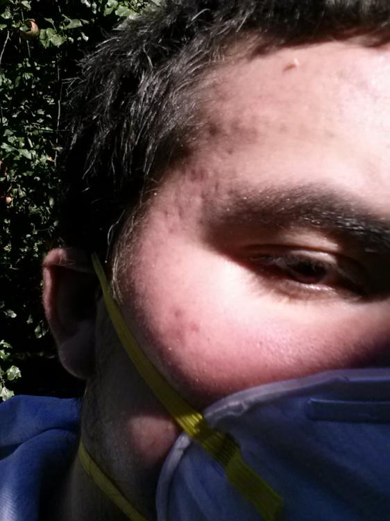 561c156e15975_20151006_1418291.thumb.jpg