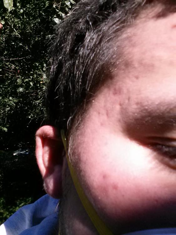 561c15eb68648_20151006_1419121.thumb.jpg