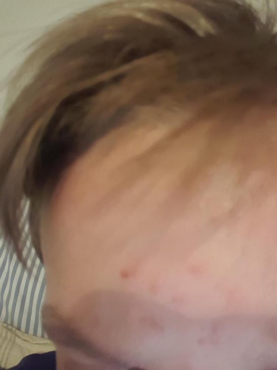 1448831297099-720613562.thumb.jpg.352984