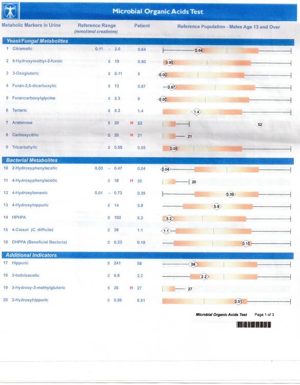 page3.jpg