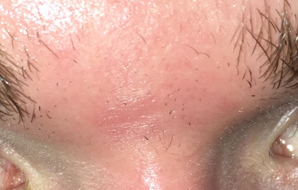 image1.thumb.jpeg.f8c7bc9d1dda0eb1fd4044