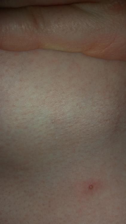 20160528_195433.jpg