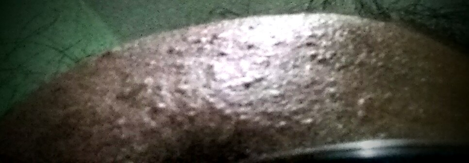 IMG_20160514_213221.jpg
