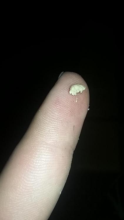20160719_231450.jpg