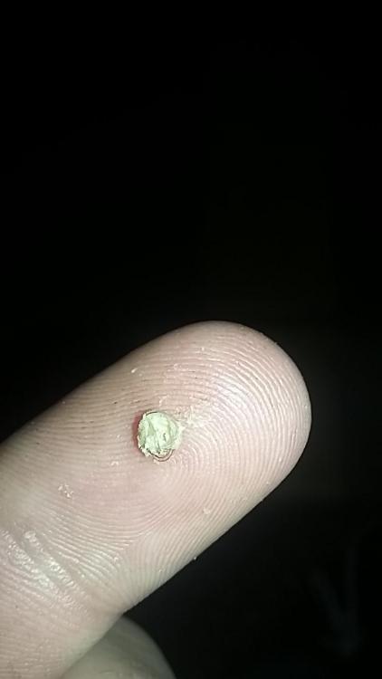 20160719_231804.jpg