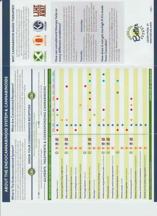 scanned brochure p 2.jpg
