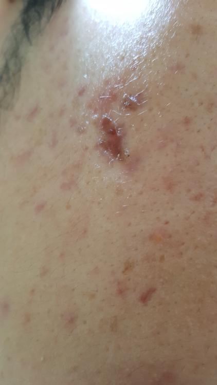 20170121_121352.jpg
