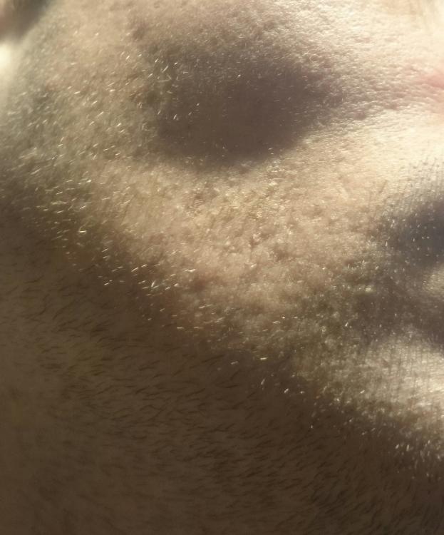 _20171105_164240.JPG