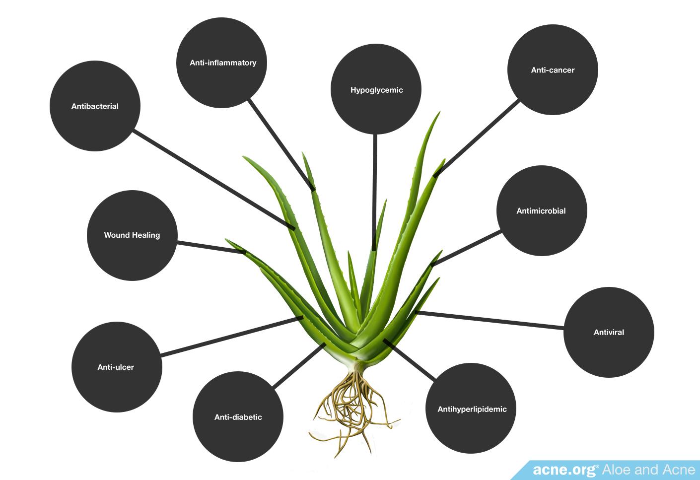 Healing Properties of Aloe