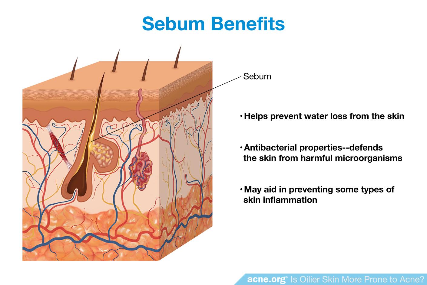 Sebum Benefits