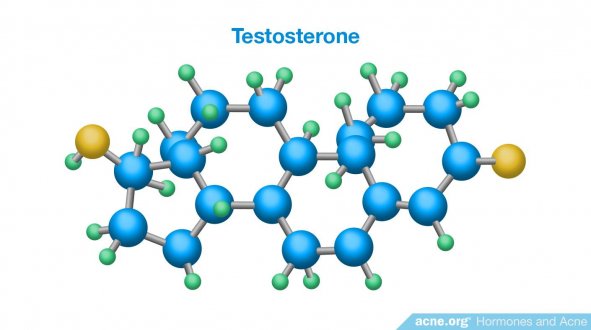 Testosterone