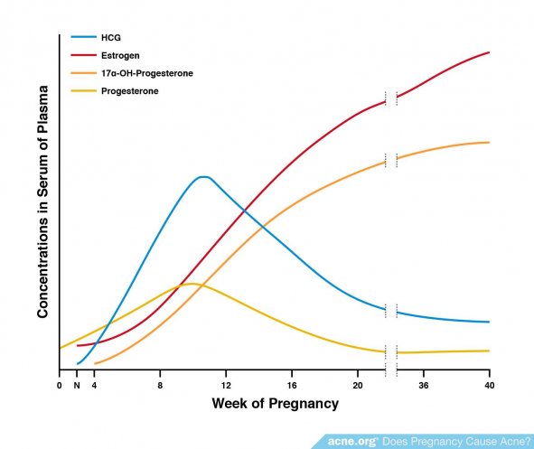 Hormone Levels During Pregnancy