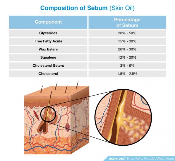 Composition of Sebum (Skin Oil)