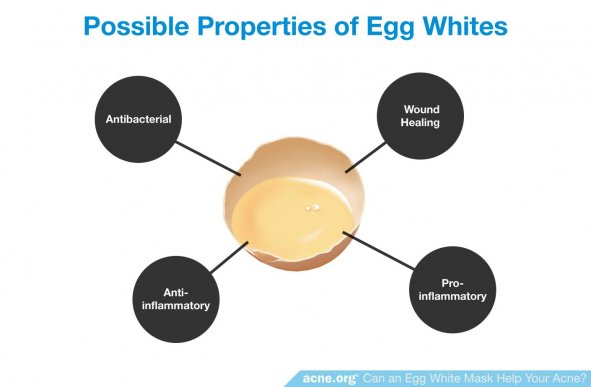 Possible Properties of Egg Whites