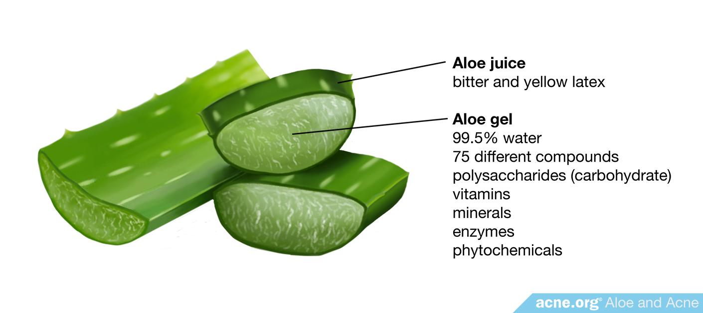 Components of Aloe