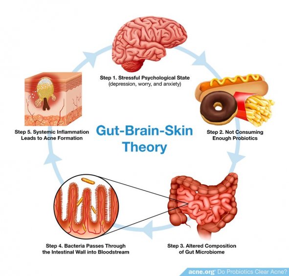 Gut-Brain-Skin Theory
