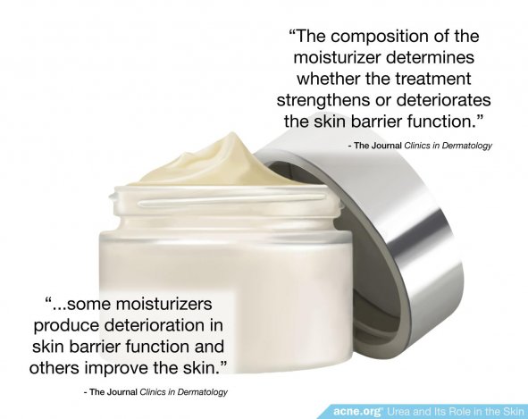 Moistrurizer and Skin Barrier Function