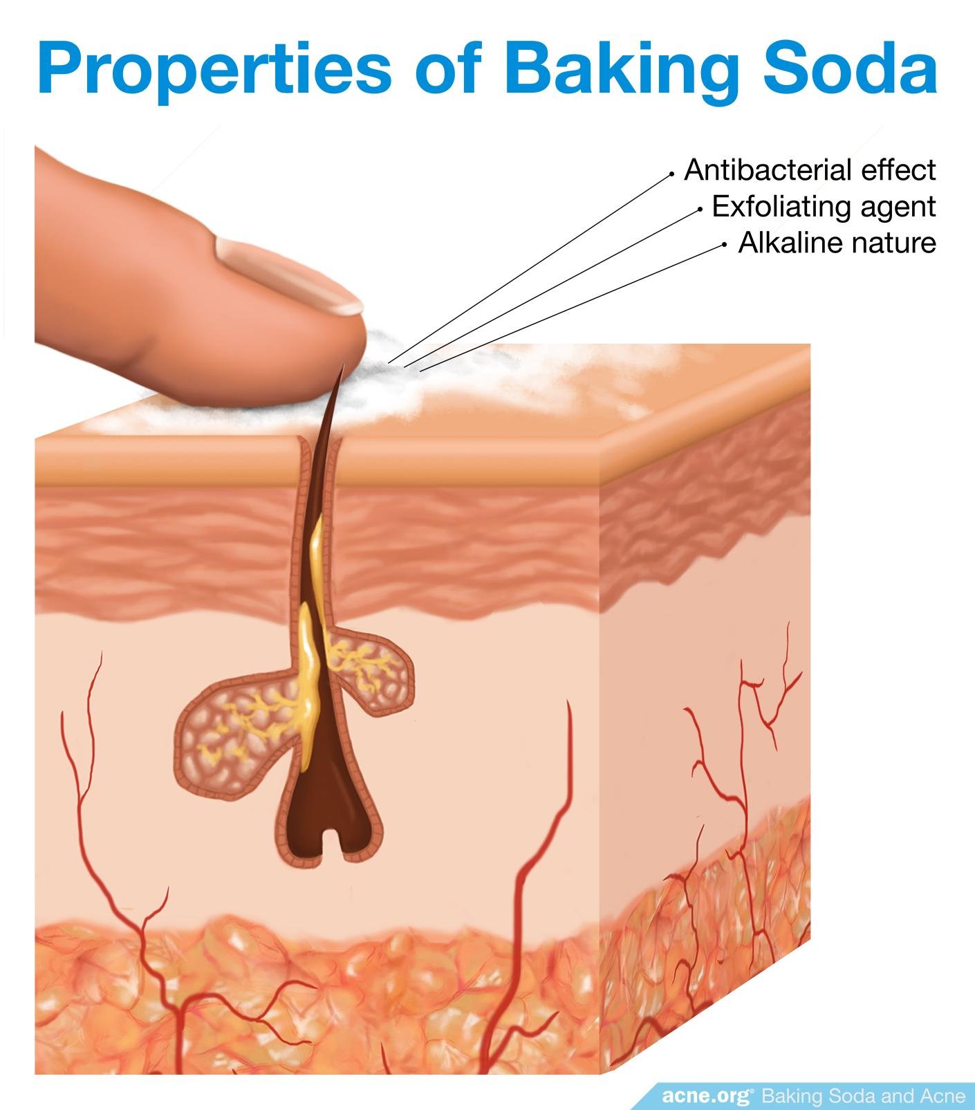 Properties Of Baking Soda Properties Of Baking Soda