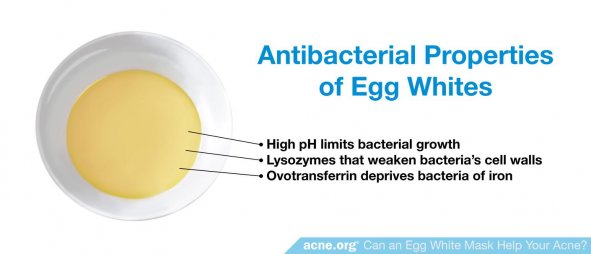 Antibacterial Properties of Egg Whites