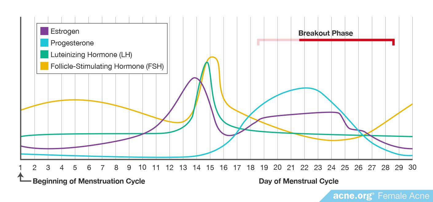 Women and Female Acne - Acne.org