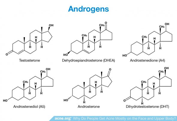 Androgens
