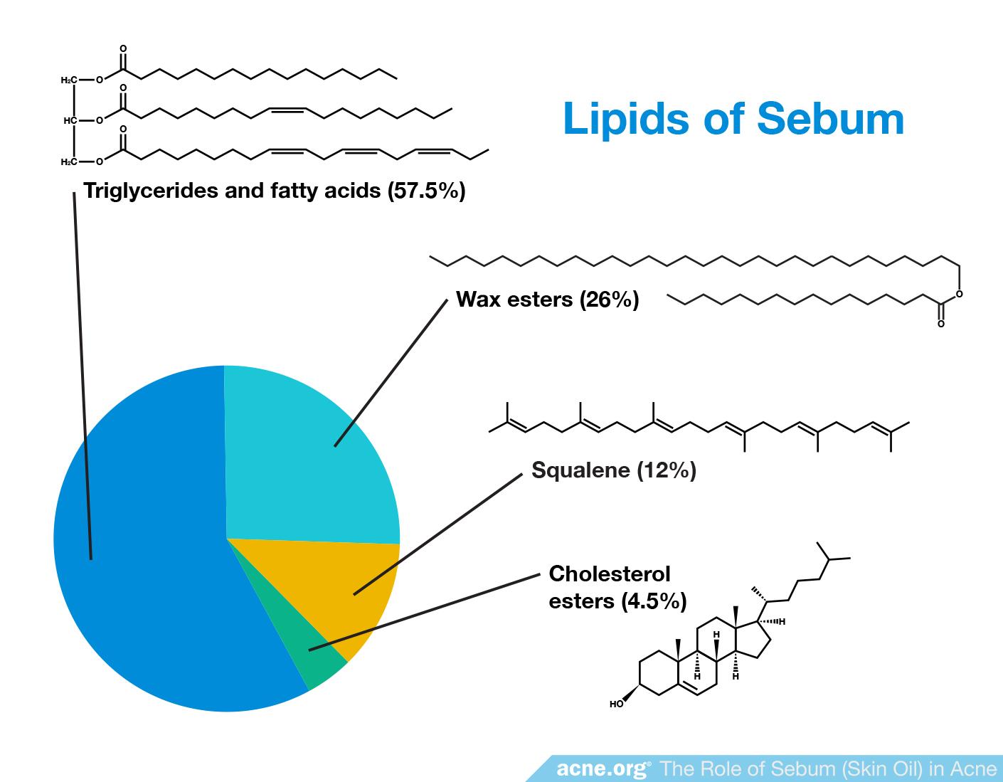 Lipids of Sebum