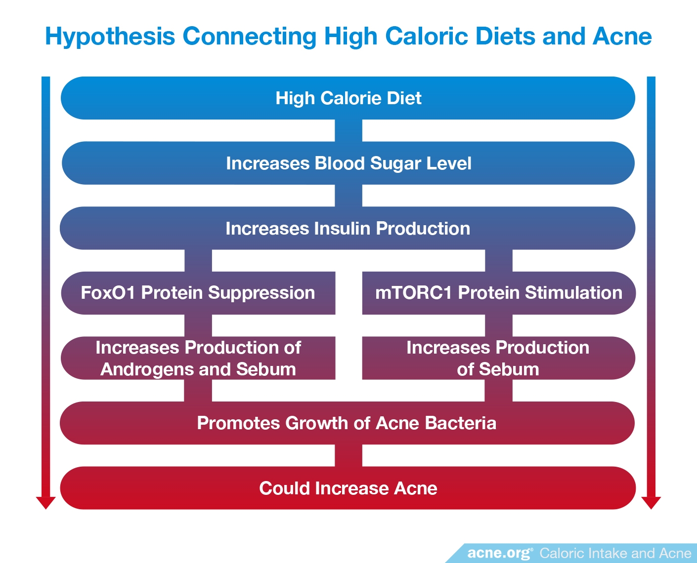 Hypothesis Connecting High Caloric Diets and Acne