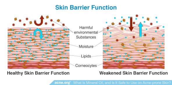 Skin Barrier Function: Weakened Barrier Function vs. Healthy
