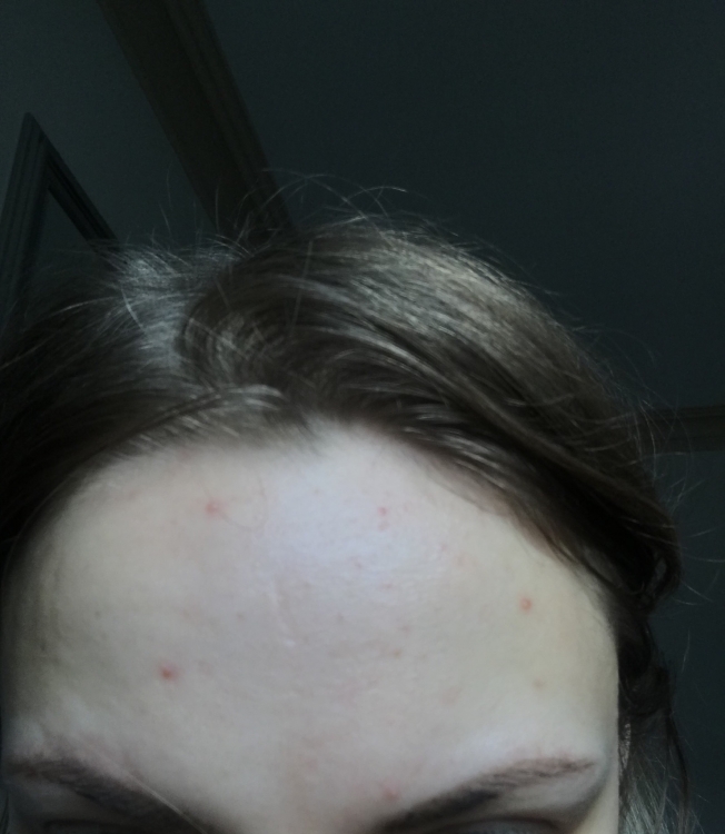 1FA41470-C09A-473A-ABF5-FB3655A77731.thumb.jpeg.4bf291e8ca0bf90110f30495333ad5b6.jpeg