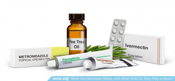 Treatments for Demodex Mites