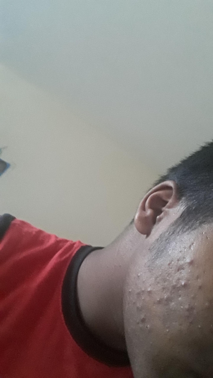 d9bd5a4.jpg