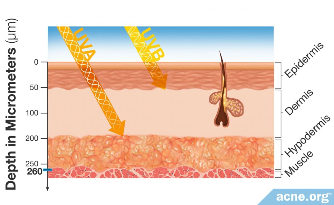 What's the Difference Between UVA and UVB Rays?