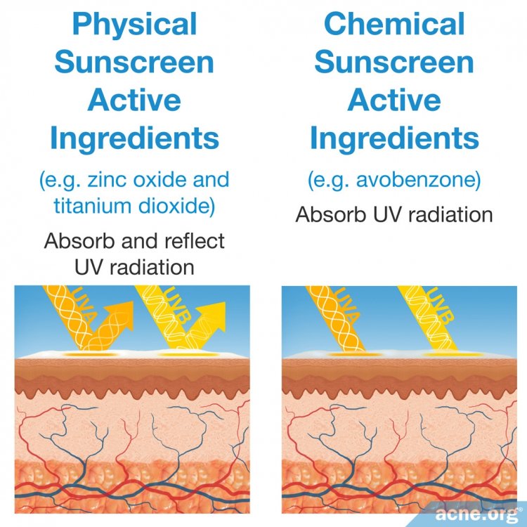 Active Ingredients in Physical and Chemical Sunscreens