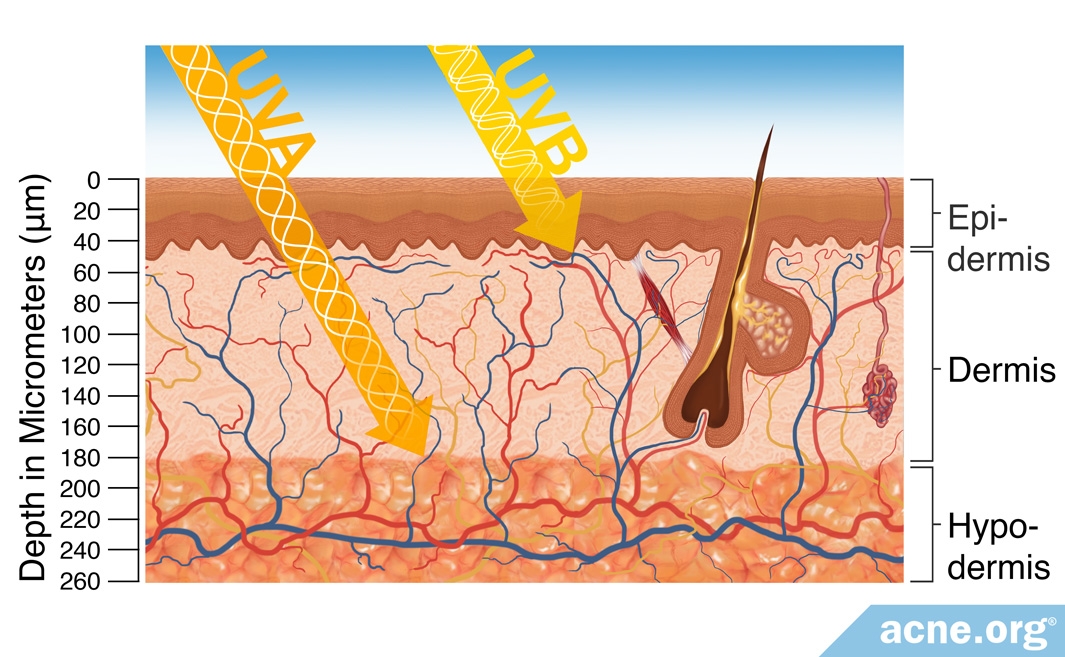 Active Ingredients in Sunscreen in the United States - Acne.org