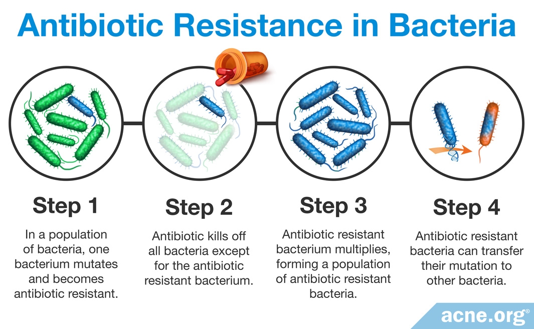 Antibiotics can be useful in fighting off bacteria but they are