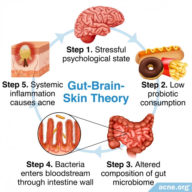 Gut-Brain-Skin Theory