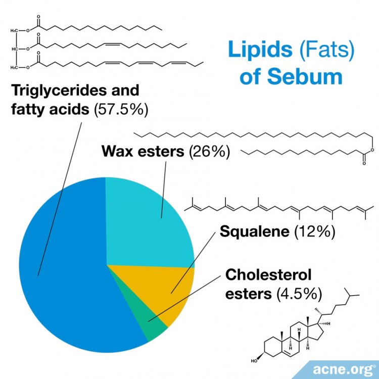 The Role of Sebum (Skin Oil) in Acne