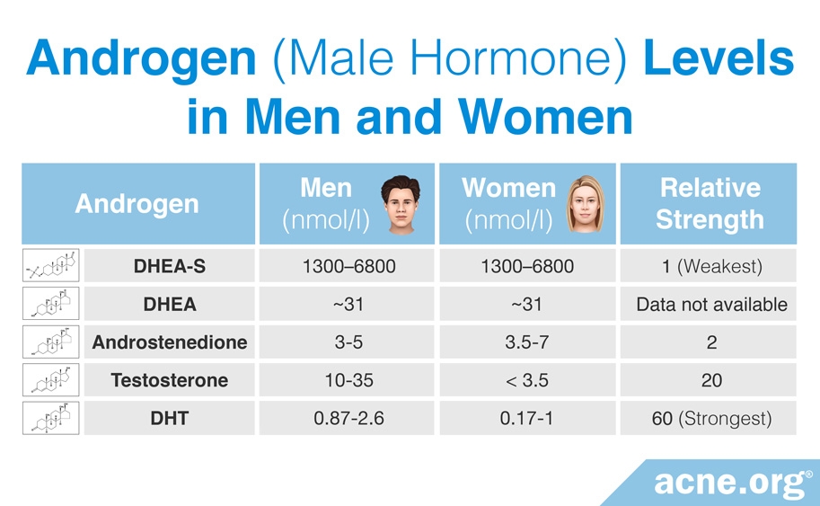 The role of testosterone in acne acne
