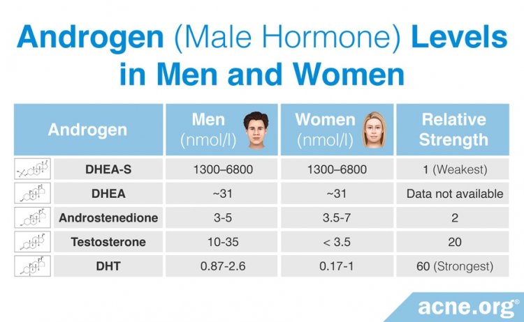 Androgen (Male Hormone) Levels in Men and Women