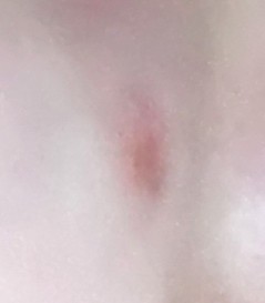 20180815_205758.jpg.983a90838df6a327b5fe9ef7c469be62.jpg