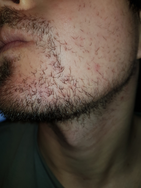 20181124_133105.jpg