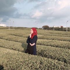 msafirudin