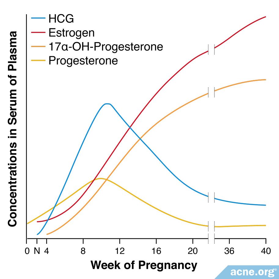 Estrogen Levels During Pregnancy Chart