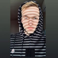 Traviss