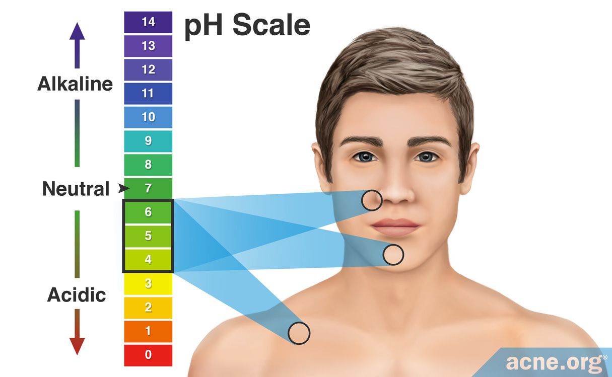 Káº¿t quáº£ hÃ¬nh áº£nh cho PH of skin human