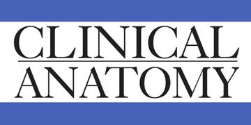 Clinical Anatomy