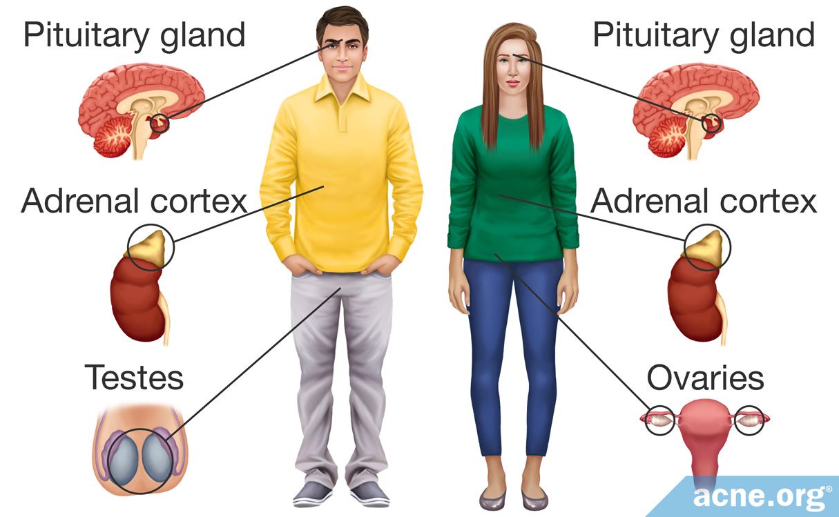 hormone specialist near me acne