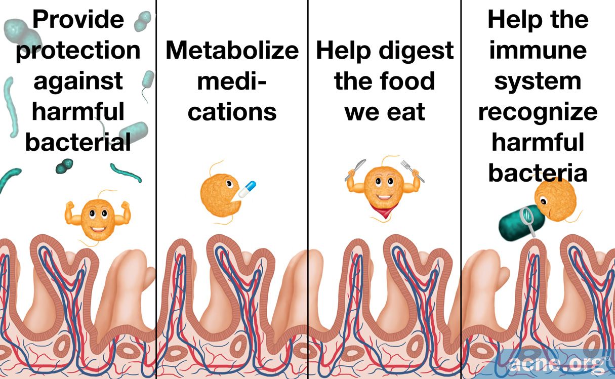 the-role-of-good-bacteria-in-the-gut-acne